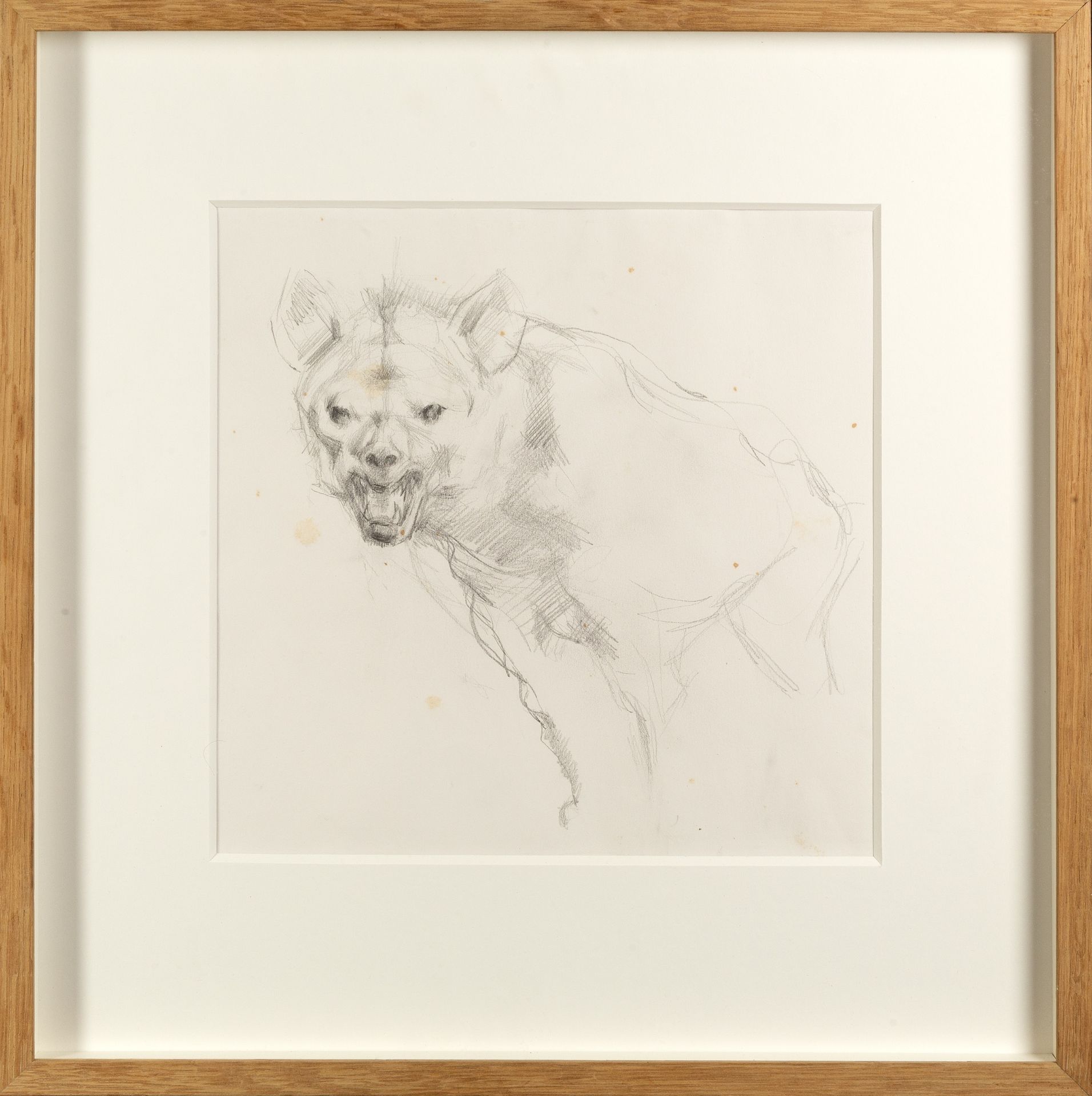 Michael Ayrton (1921-1975) Study for Hyena pencil 28 x 28cm. Provenance: Goldmark Gallery, Rutland. - Image 2 of 3