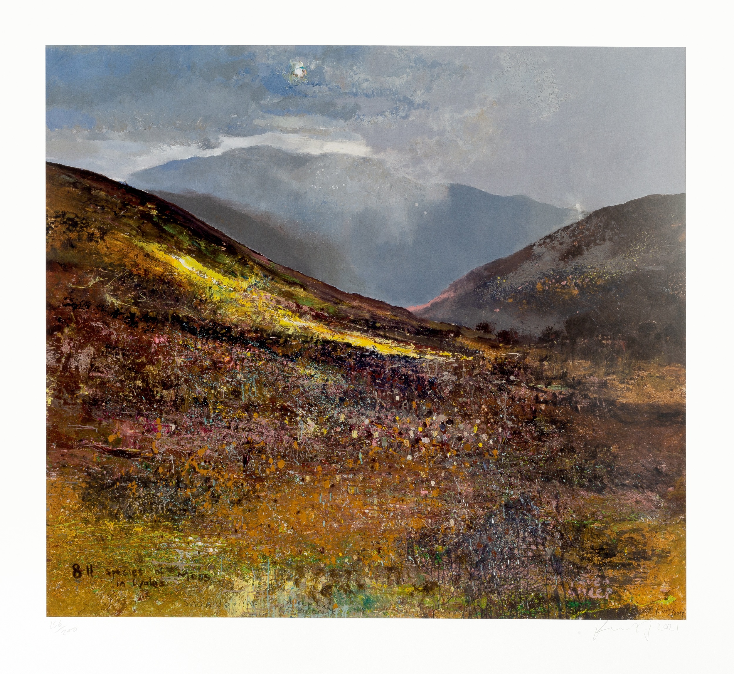 Kurt Jackson (b.1961) 811 Species of Moss in Wales, 2021 156/200, signed, dated, and numbered in