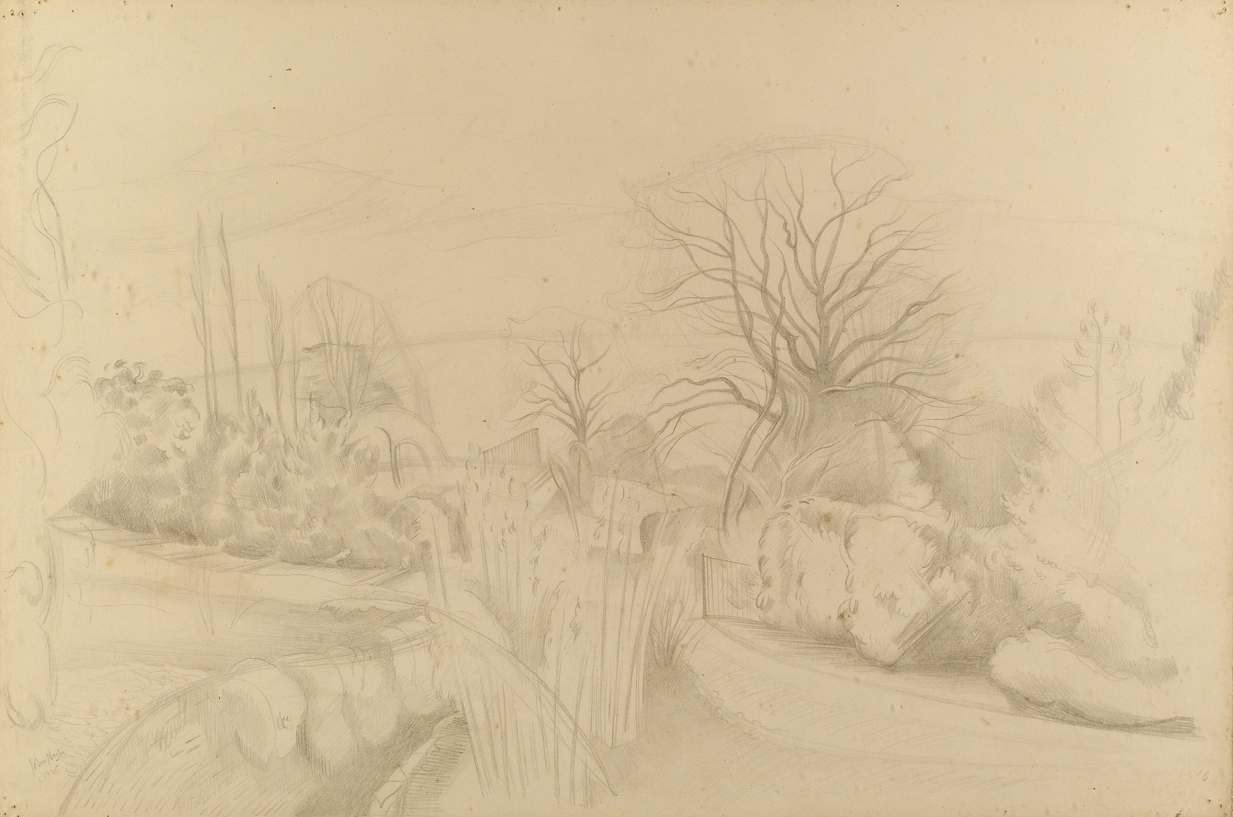 John Northcote Nash (1893-1977) The Garden, 1925 signed and dated (lower left) pencil on paper 38