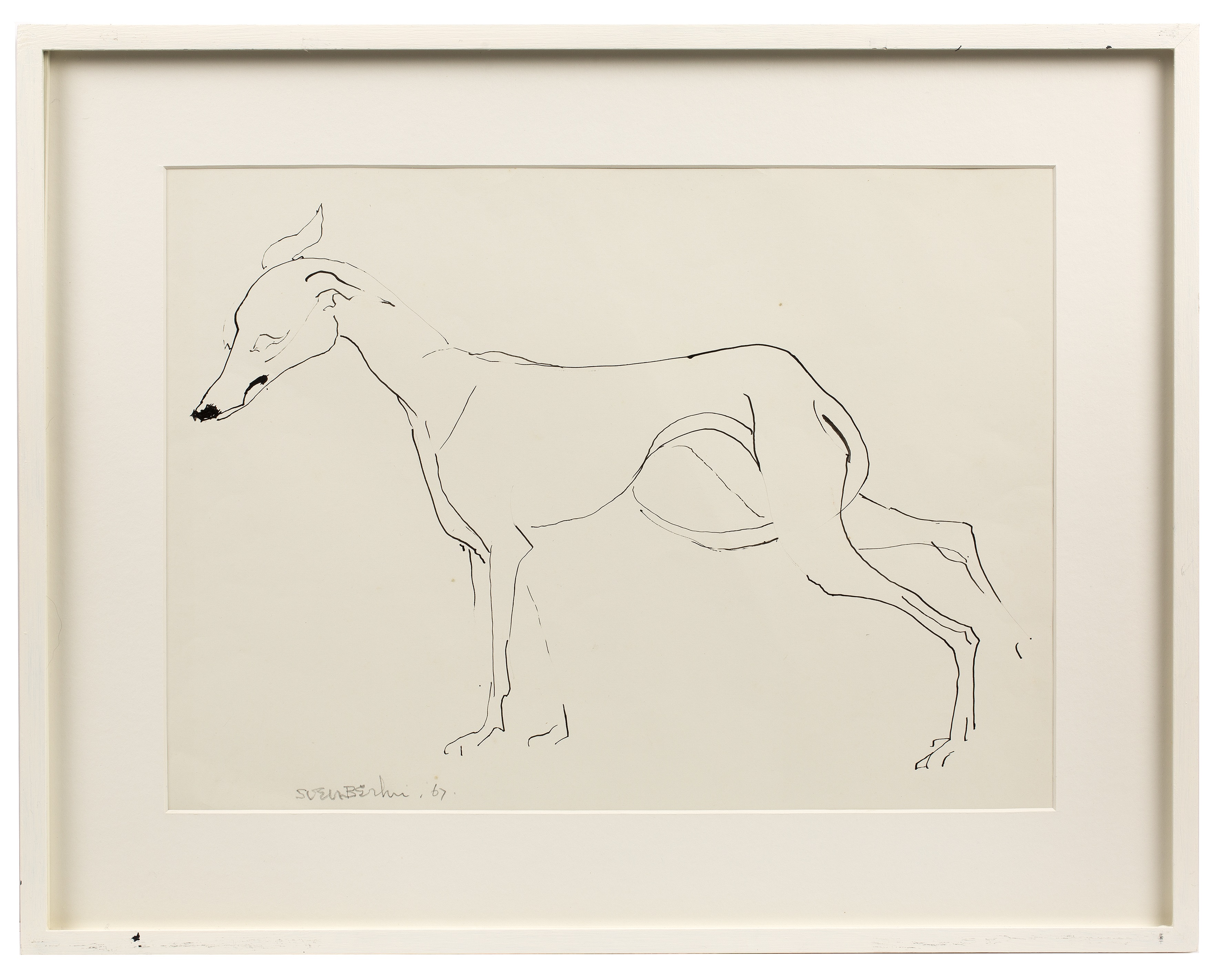 Sven Berlin (1911-1999) Greyhound, 1967 signed and dated (lower left) pen and ink 32 x 44cm. - Image 2 of 3