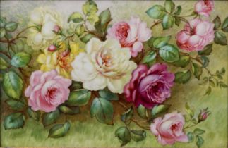 Albert Gregory (Derby Porcelain interest) porcelain plaque decorated with roses, signed lower