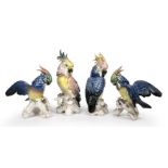 Four continental porcelain cockatoos, the largest 29cm high Bird A - chip to base branch,