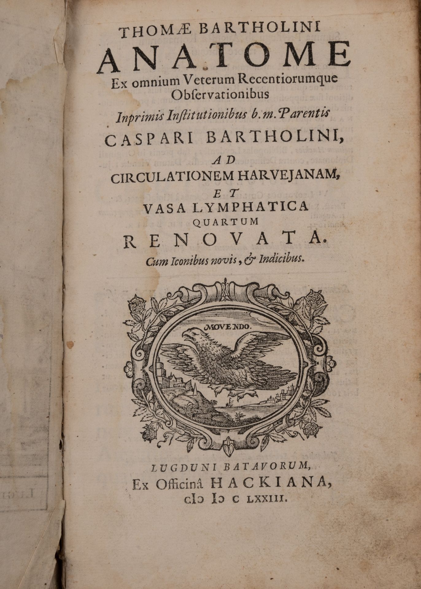 Bartholini (Thomas). Anatome ex Omnium Veterum Recentiorumque observationibus Imprimis - Bild 3 aus 5