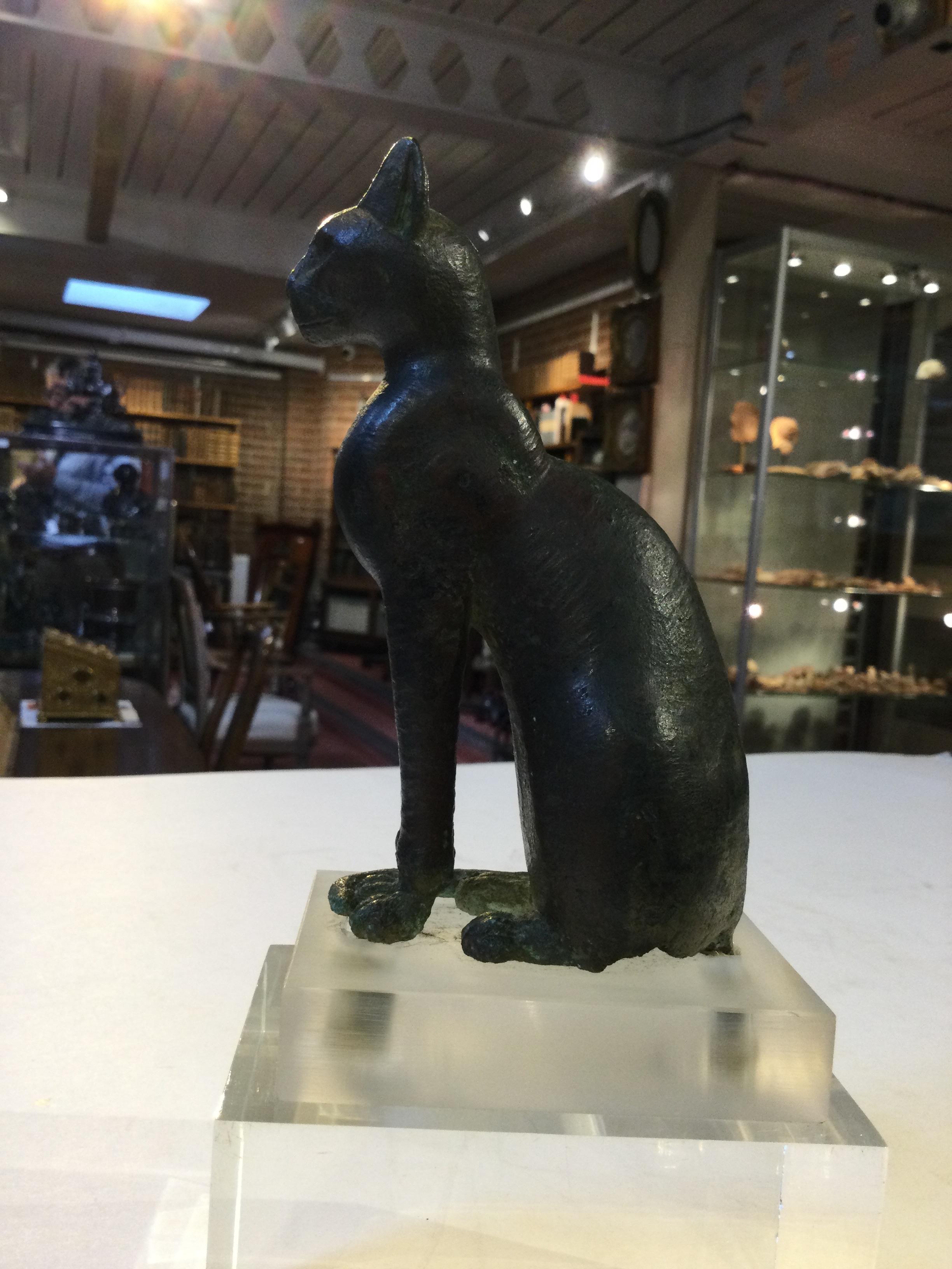 An Egyptian bronze cat figure , hollow cast, depicted seated and alert with forepaws together and - Image 13 of 26