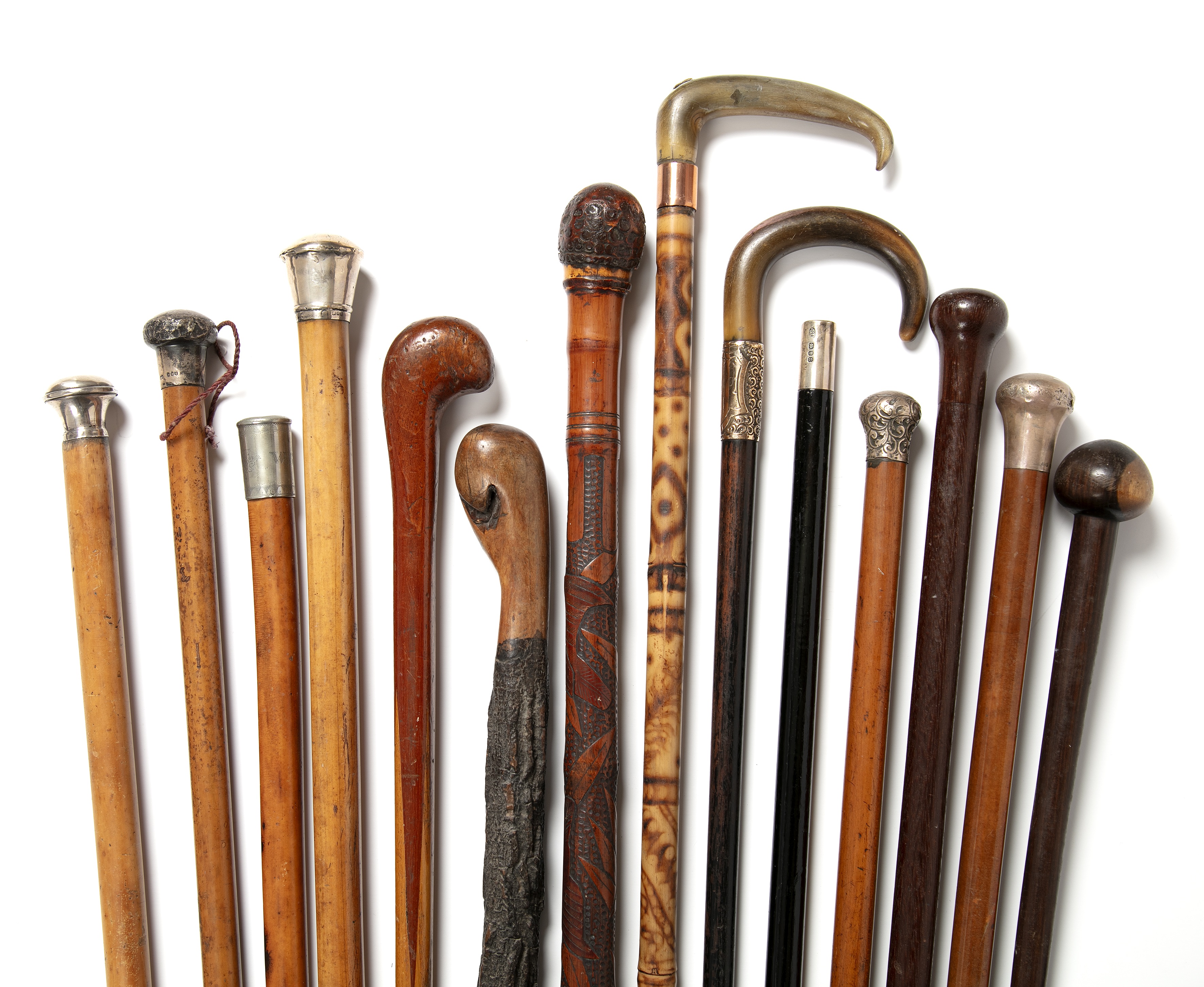 A collection of fourteen 19th century and later walking canes.