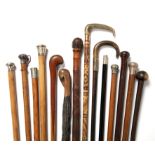 A collection of fourteen 19th century and later walking canes.
