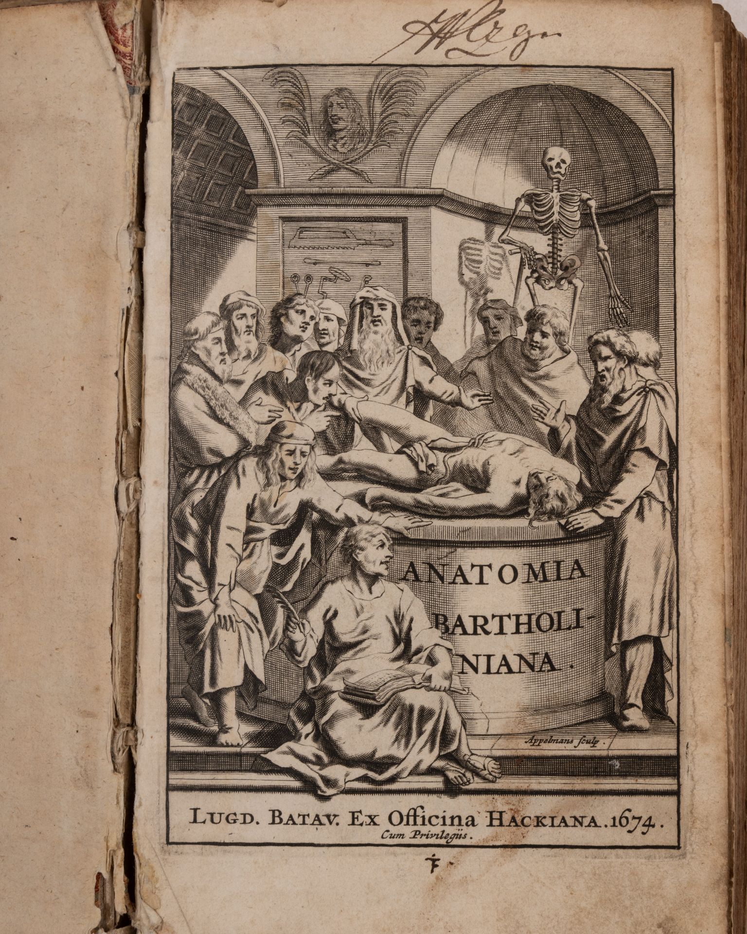 Bartholini (Thomas). Anatome ex Omnium Veterum Recentiorumque observationibus Imprimis - Bild 2 aus 5