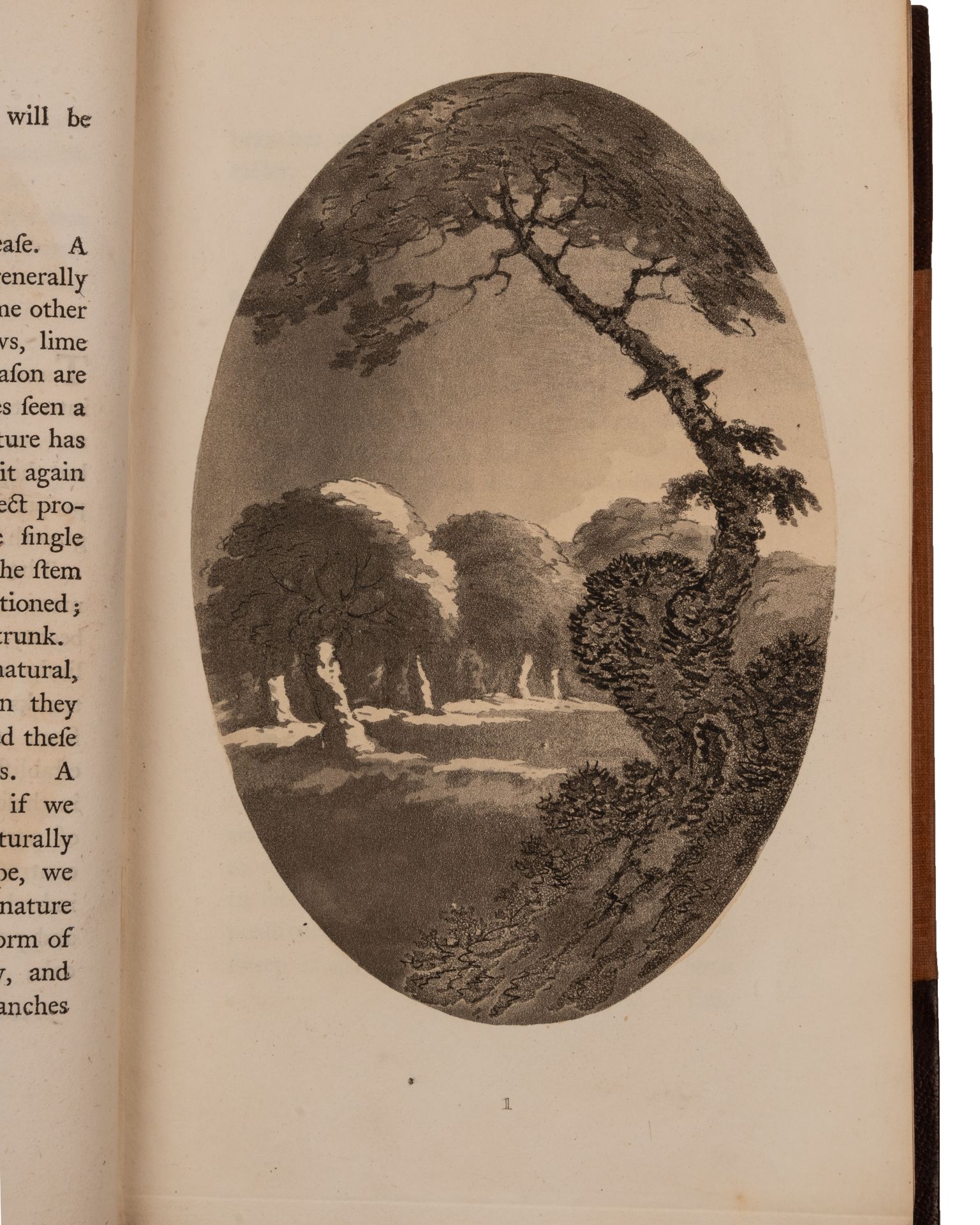 Gilpin (William) Writer and Printer (1724-1804). Works to include:- 'Remarks on Forest Scenery'. 3rd - Bild 3 aus 7