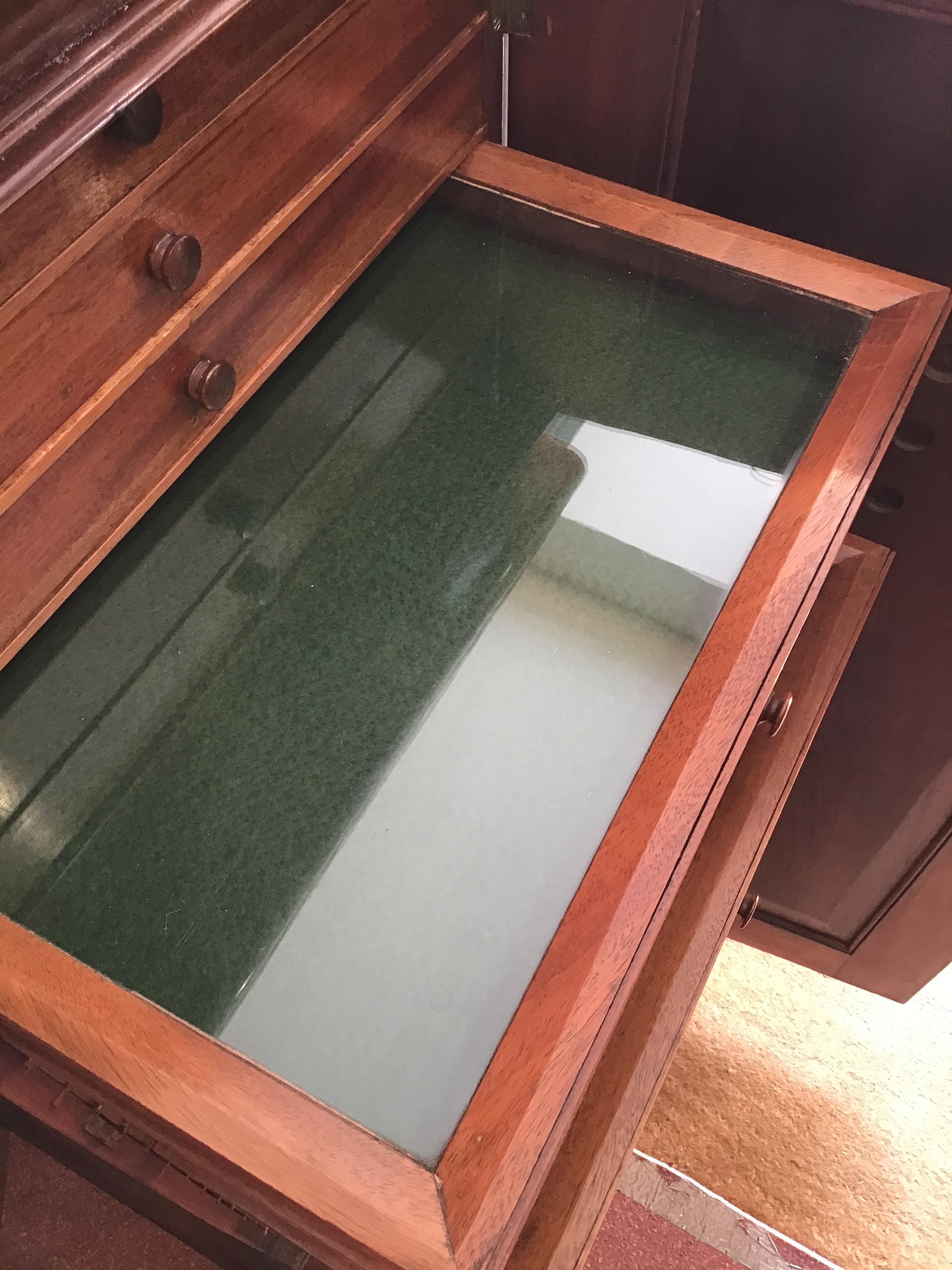 A Victorian mahogany collectors cabinet, the frieze with a blind drawer above twenty glazed-topped - Bild 7 aus 13