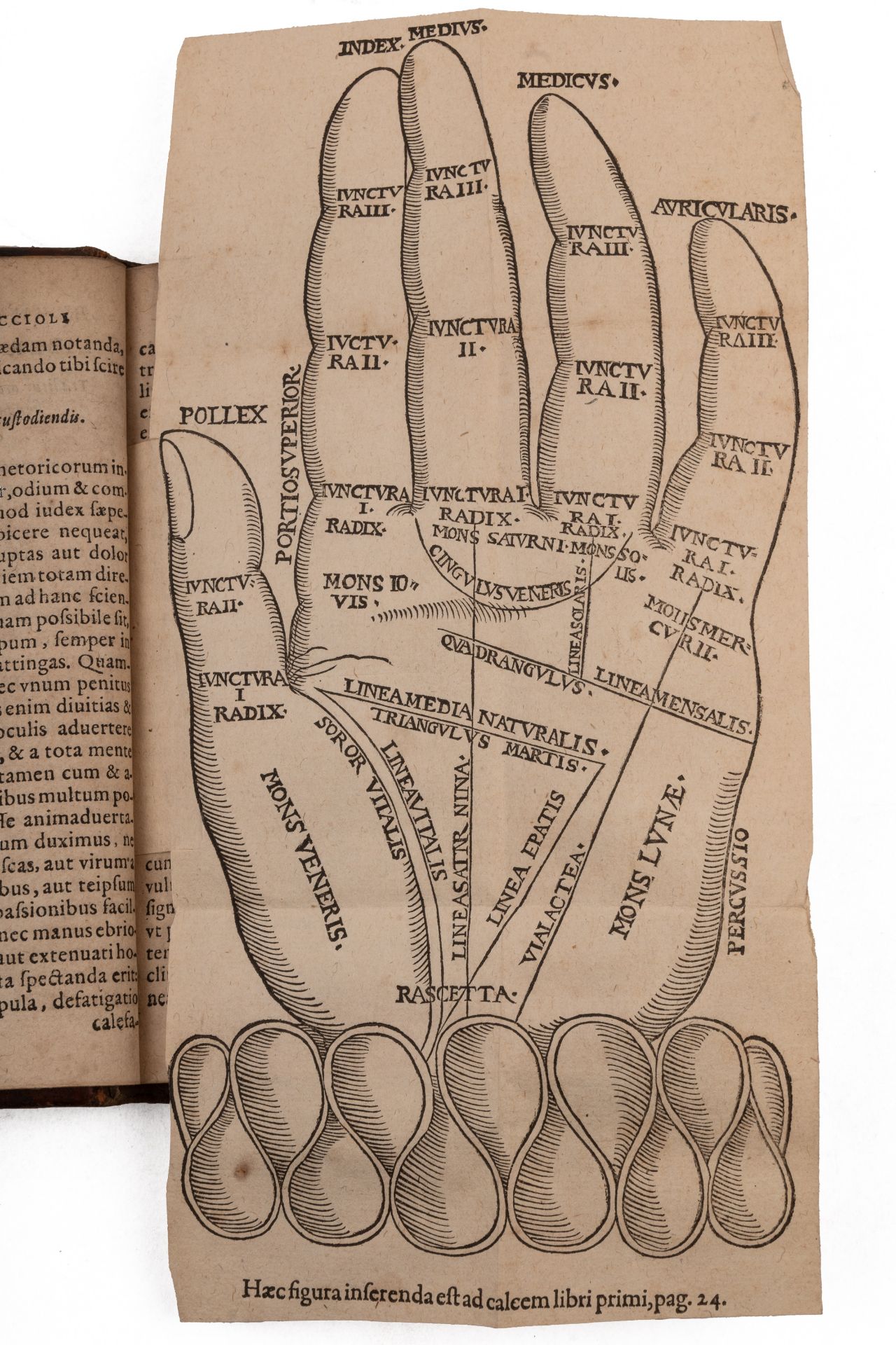 Picciolus (Antonius) 16th century Italian. Palmistry. De Manus Inspectione Libri Tres. 1st Ed(?) - Image 3 of 3