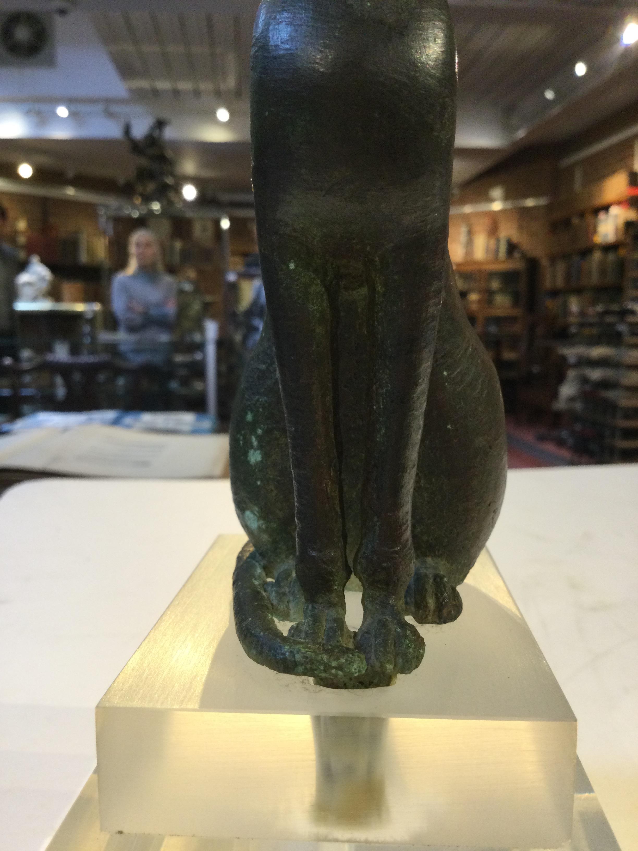 An Egyptian bronze cat figure , hollow cast, depicted seated and alert with forepaws together and - Image 16 of 26