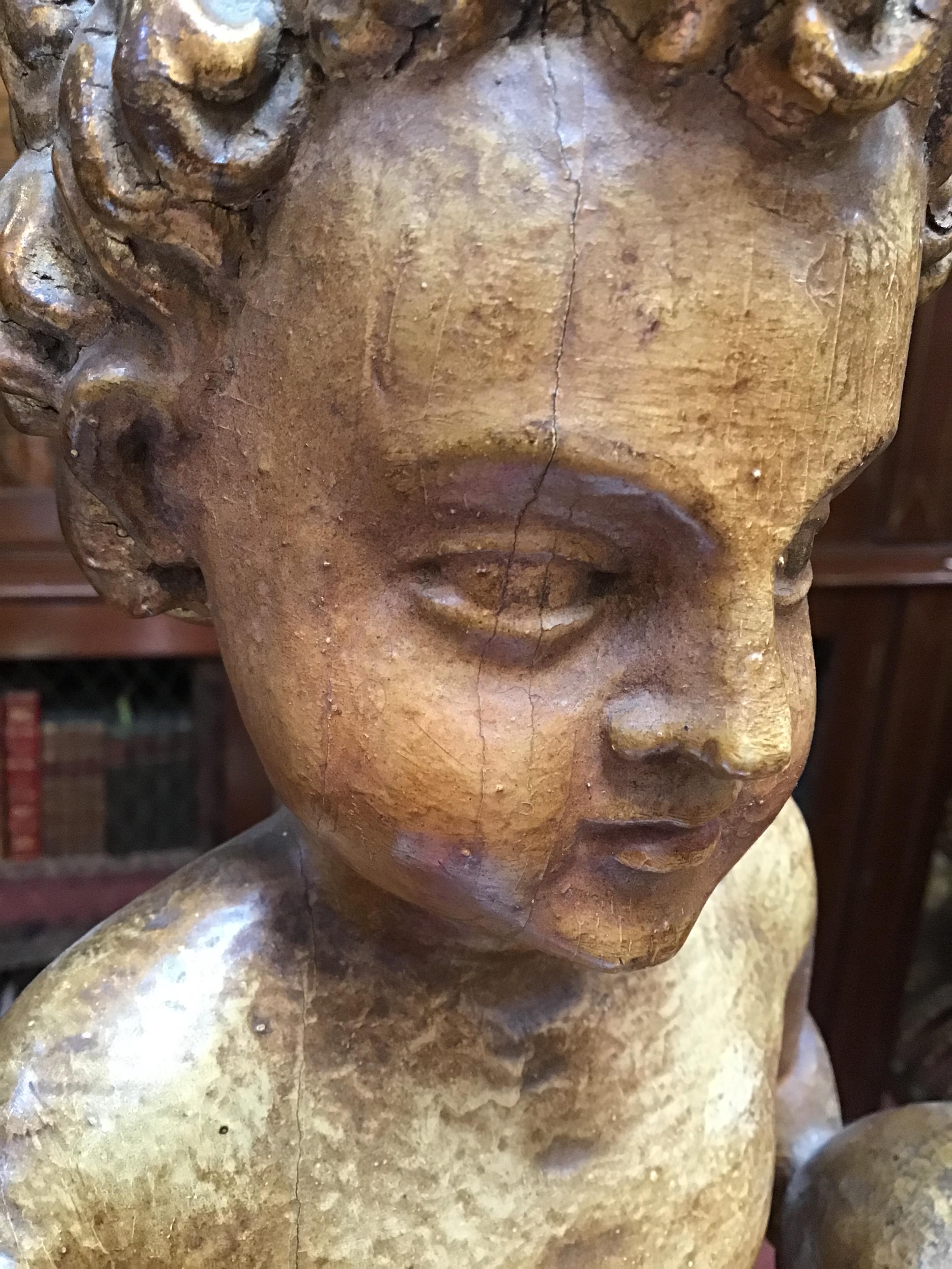 A 17th/18th century Italian gilded and carved limewood cherub on a rectangular gilded base 24cm wide - Image 16 of 26