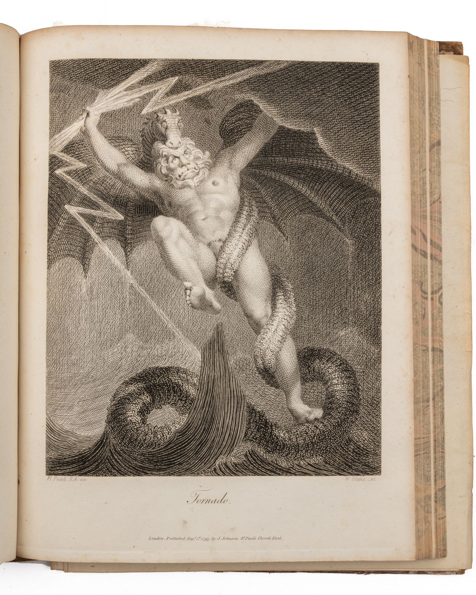 Blake (William) Darwin (Erasmus). 'The Botanic Garden, A Poem in Two Parts'. Pt I. 'The Economy of - Bild 3 aus 3