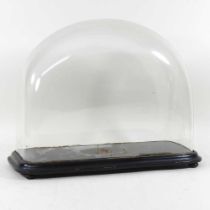 A 19th century glass dome, on an ebonised plinth base, 43 x 34cm Overall condition is dirty, but