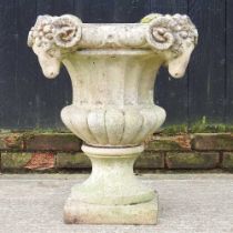 A cast stone campana style garden planter with rams head masks 50w x 50d x 66h cm