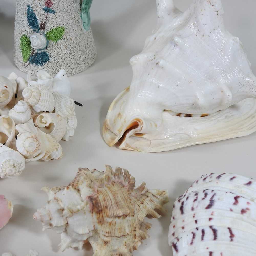 A carved shell, 9cm long, together with a collection of sea shells, coral and other items - Image 3 of 7