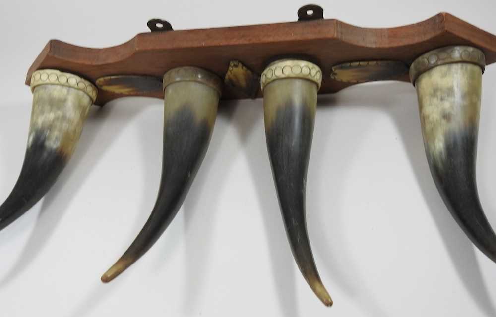 A taxidermy coat hook, with four horns, mounted on a wooden base, 50cm wide - Image 3 of 3