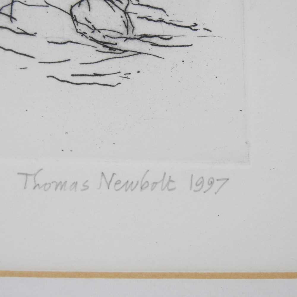 Thomas Newbolt, b1951, Horses, signed and dated 1997 artist's proof, 16 x 24cm, together with - Image 3 of 8