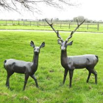 A life size cast bronze garden sculpture of a stag, shown standing, 147cm high, together with