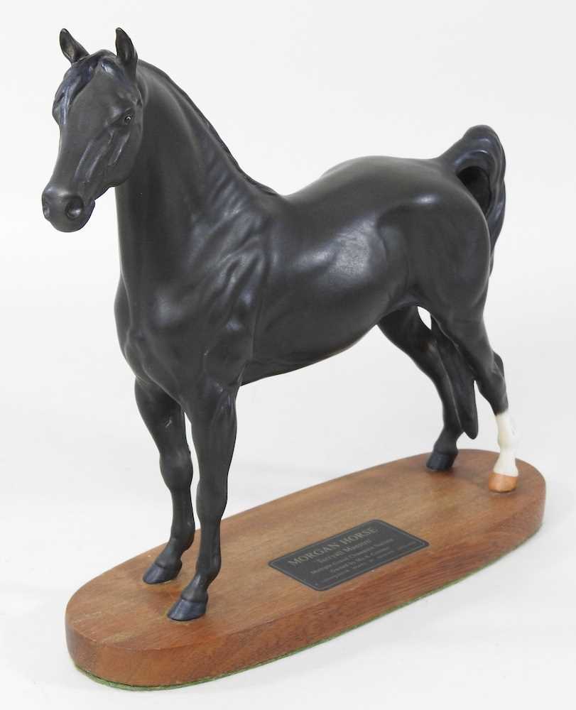 A Beswick Connoisseur model of a Morgan Horse, Tarryall Maestro, Multiple Grand Champion Stallion, - Image 3 of 5