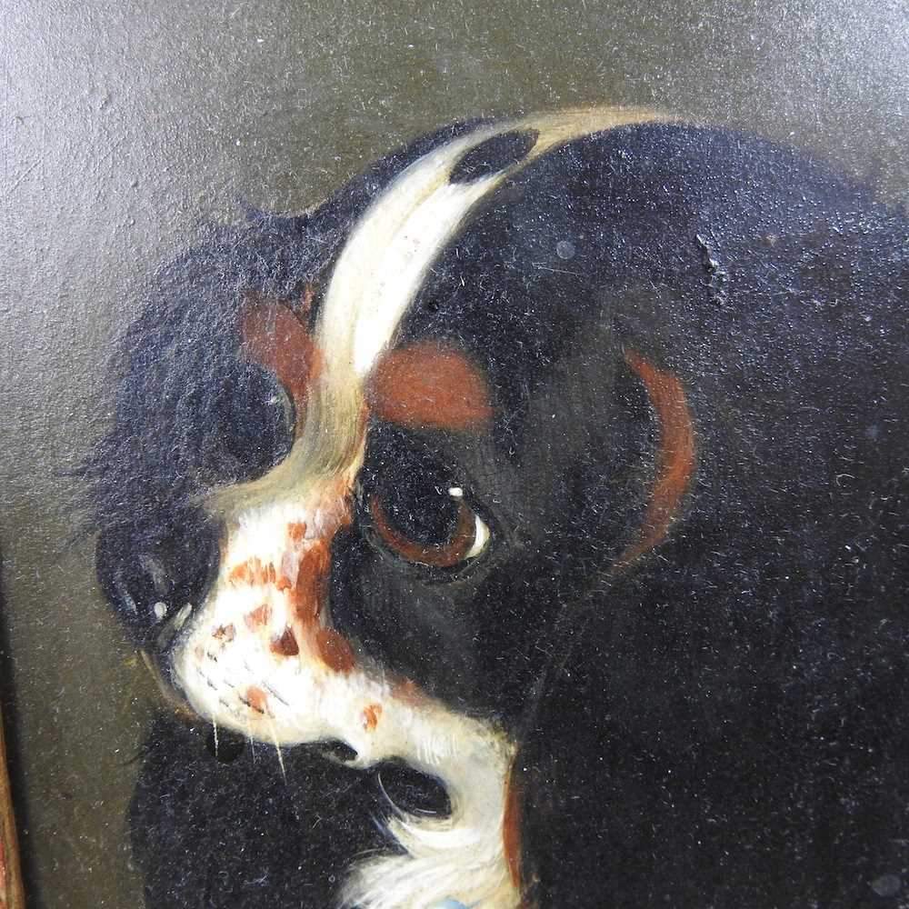 English school, 19th century, head of a terrier, oil on board, together with another, each 11 x - Image 4 of 5