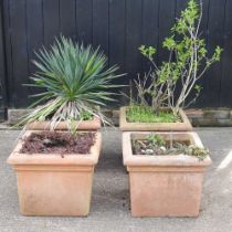 A set of four large terracotta garden pots (4) 52w x 52d x 42h cm