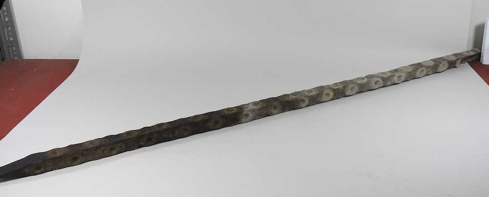 An antique wooden oyster stick or pole, with lime putty holes, 156cm long - Image 3 of 7