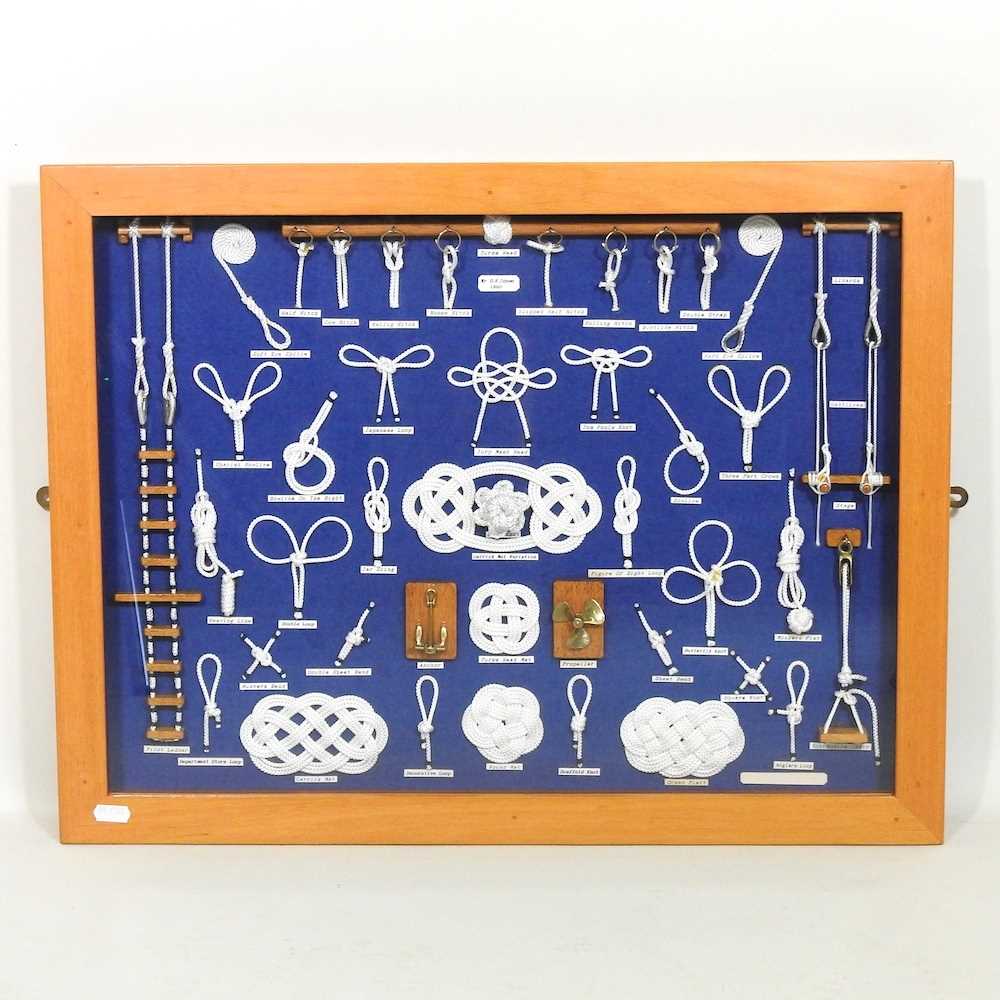 A collection of marine knots, mounted in a display, 49 x 63cm