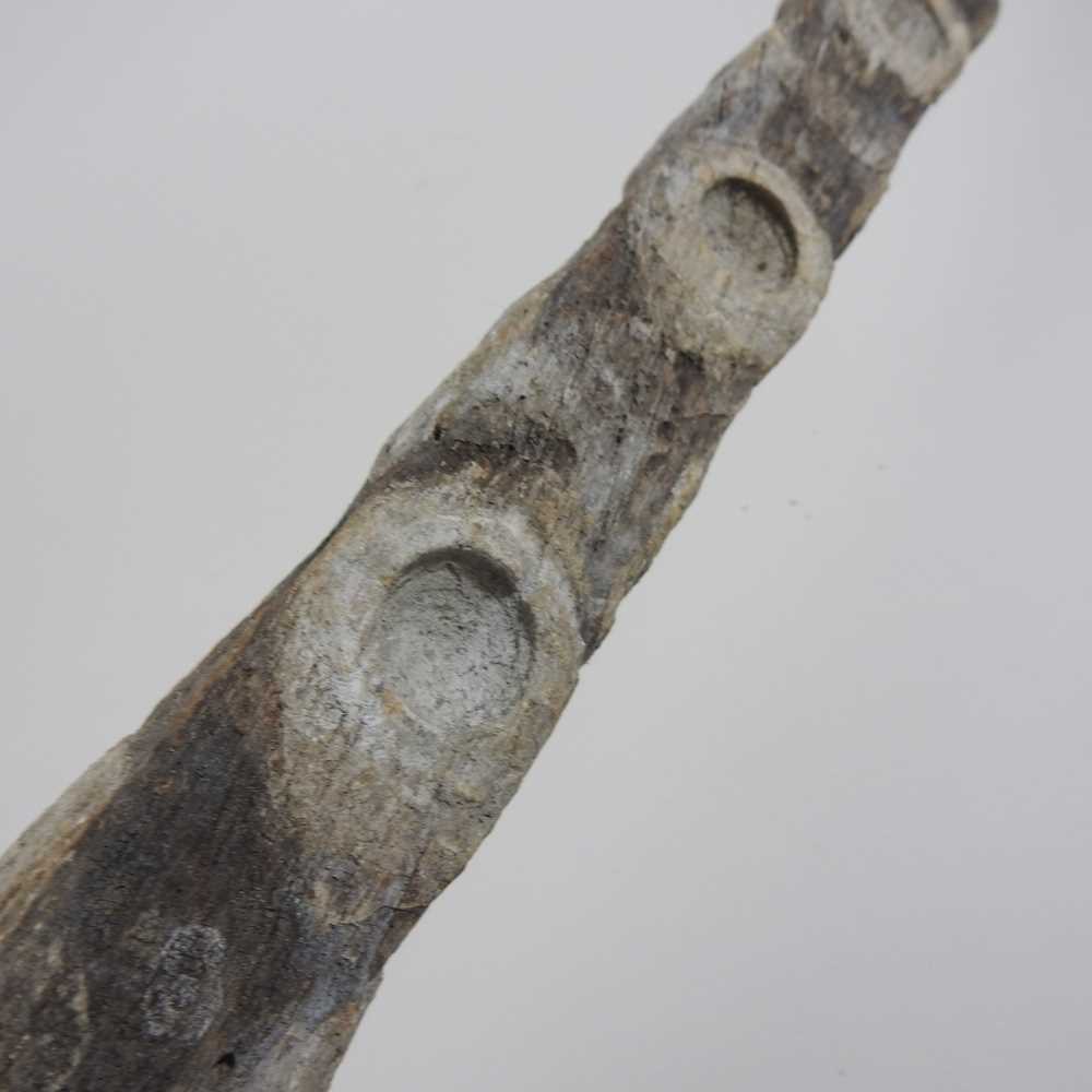 An antique wooden oyster stick or pole, with lime putty holes, 156cm long - Image 2 of 7