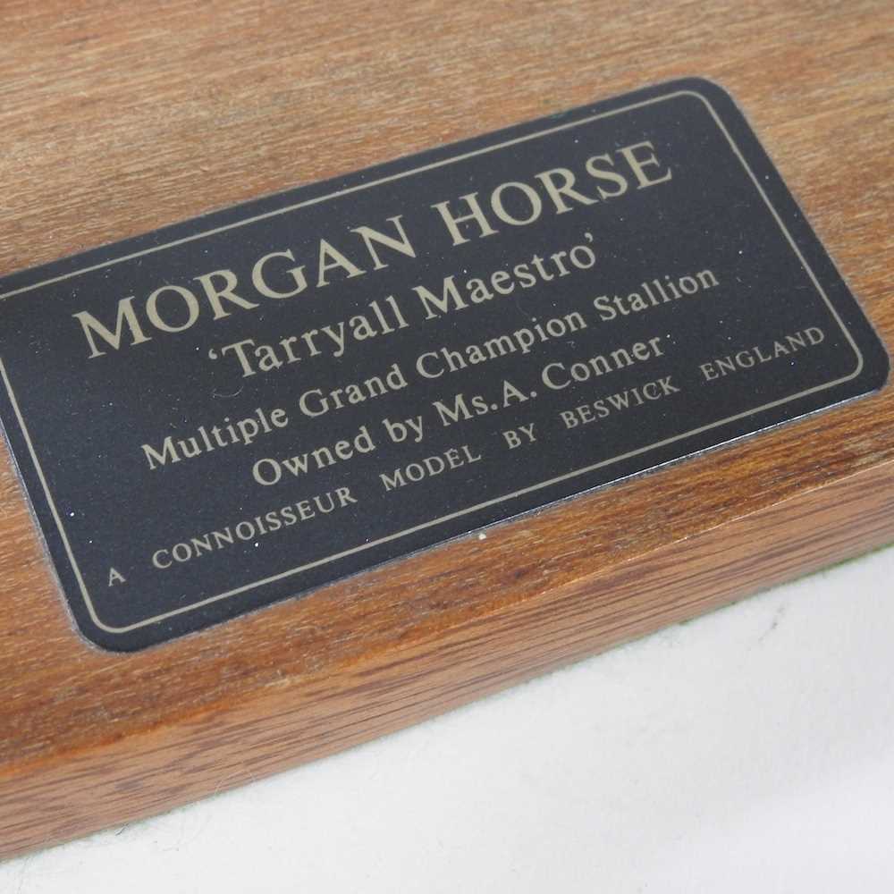 A Beswick Connoisseur model of a Morgan Horse, Tarryall Maestro, Multiple Grand Champion Stallion, - Image 4 of 5