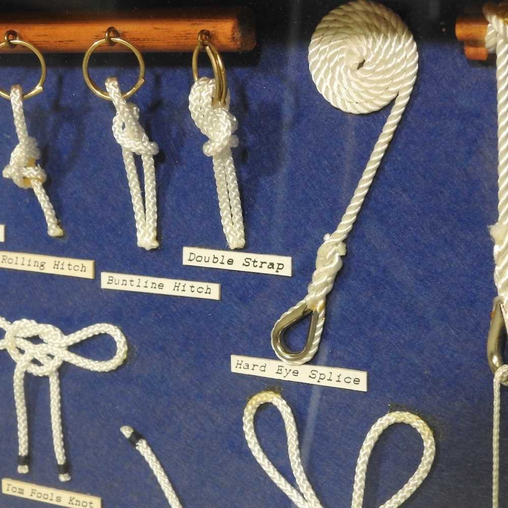 A collection of marine knots, mounted in a display, 49 x 63cm - Image 4 of 5