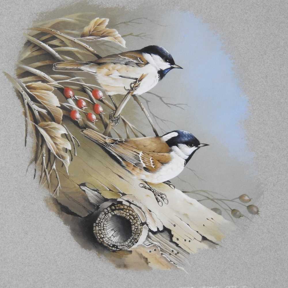 Terance James Bond, b1946, two sparrows perched on a branch, signed and dated 1975, gouache on - Image 3 of 6