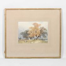 Attributed to James Duffield Harding, a boy in a wooded landscape, unsigned, watercolour, 22 x 30cm