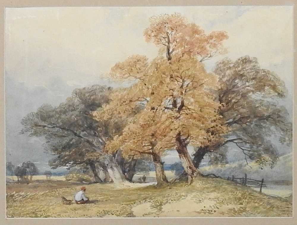 Attributed to James Duffield Harding, a boy in a wooded landscape, unsigned, watercolour, 22 x 30cm - Image 4 of 4