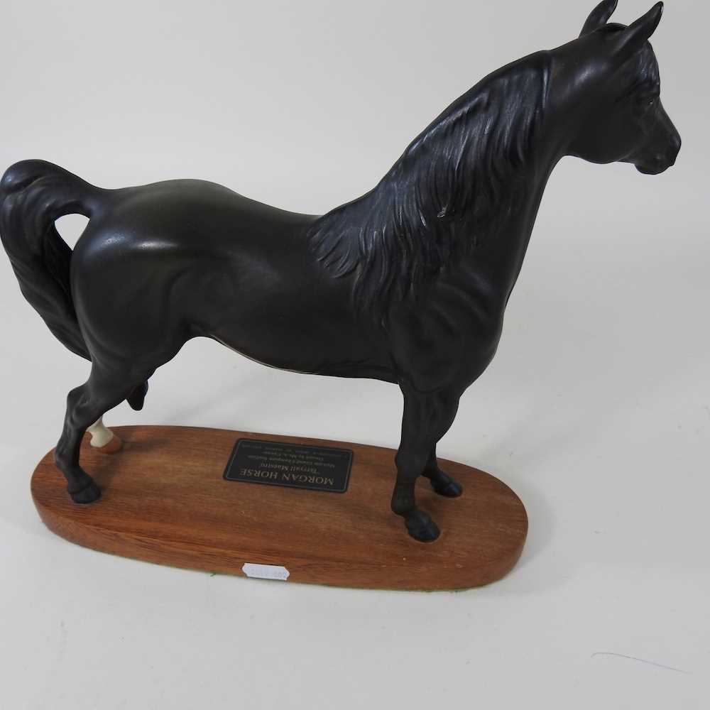 A Beswick Connoisseur model of a Morgan Horse, Tarryall Maestro, Multiple Grand Champion Stallion, - Image 5 of 5