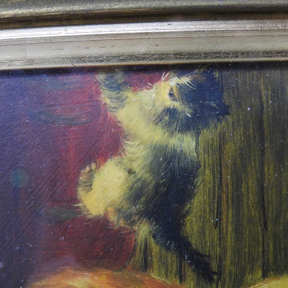 English school, 20th century, cat and kittens, oil on panel, 14 x 18cm - Image 6 of 6