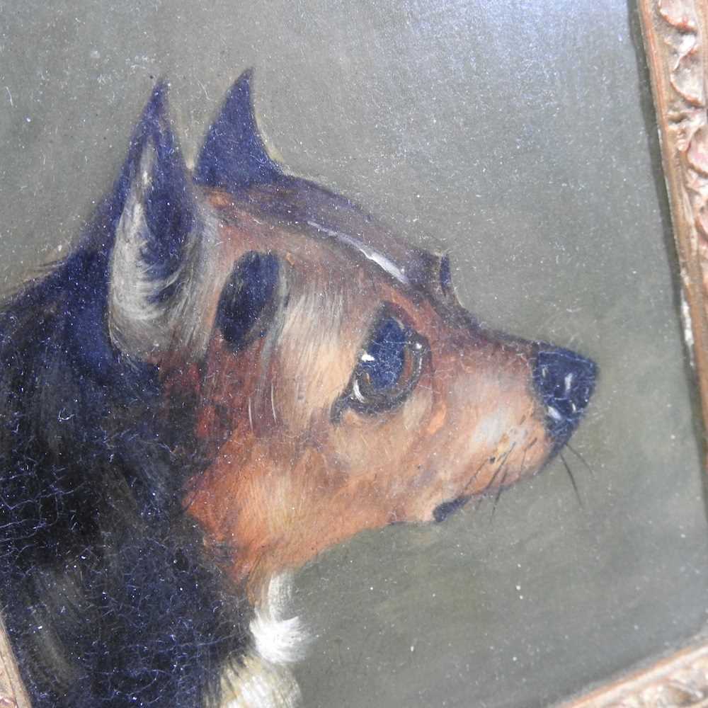 English school, 19th century, head of a terrier, oil on board, together with another, each 11 x - Image 3 of 5