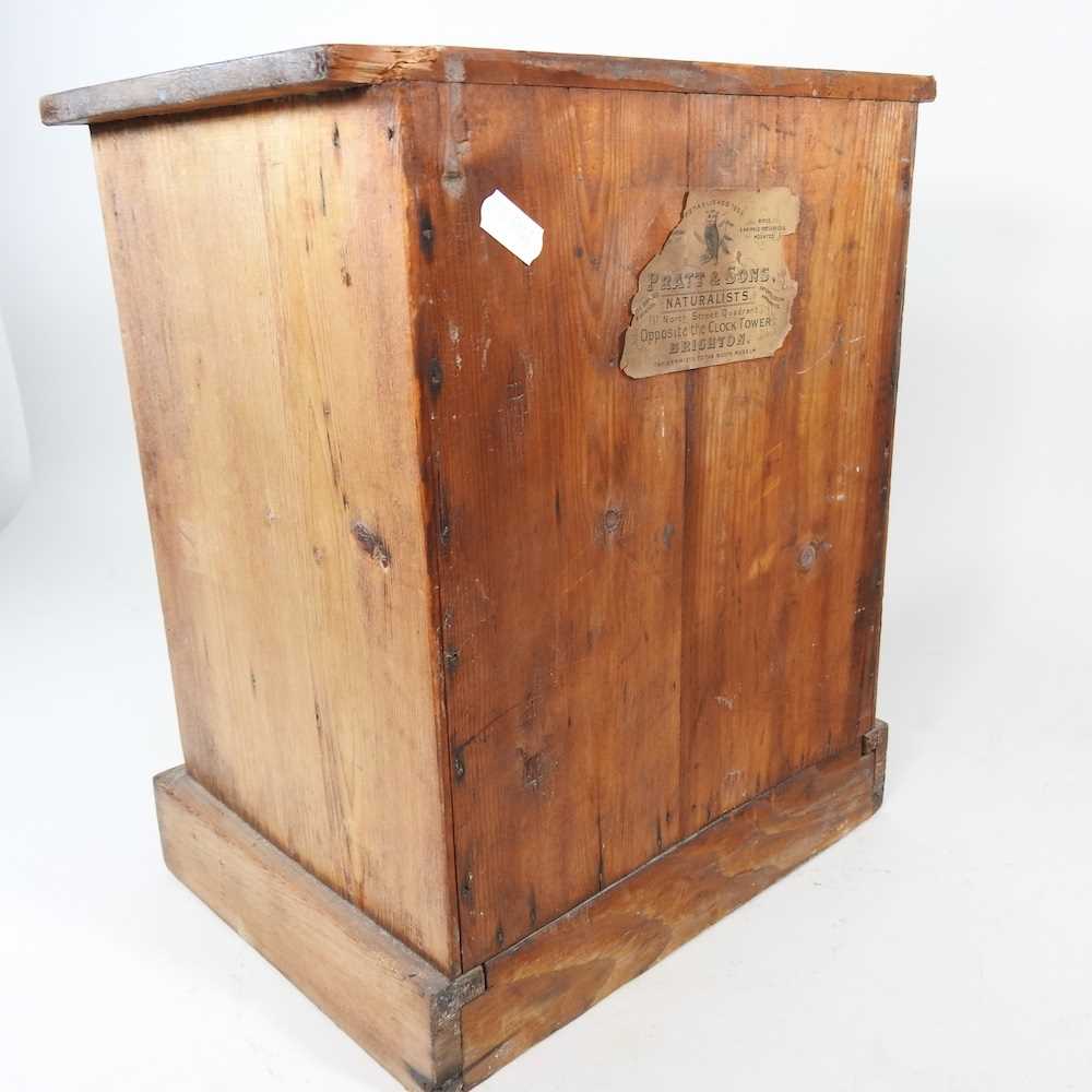 A Victorian pine miniature chest, containing four long drawers, on a plinth base 29w x 22d x 35h cm - Image 6 of 7