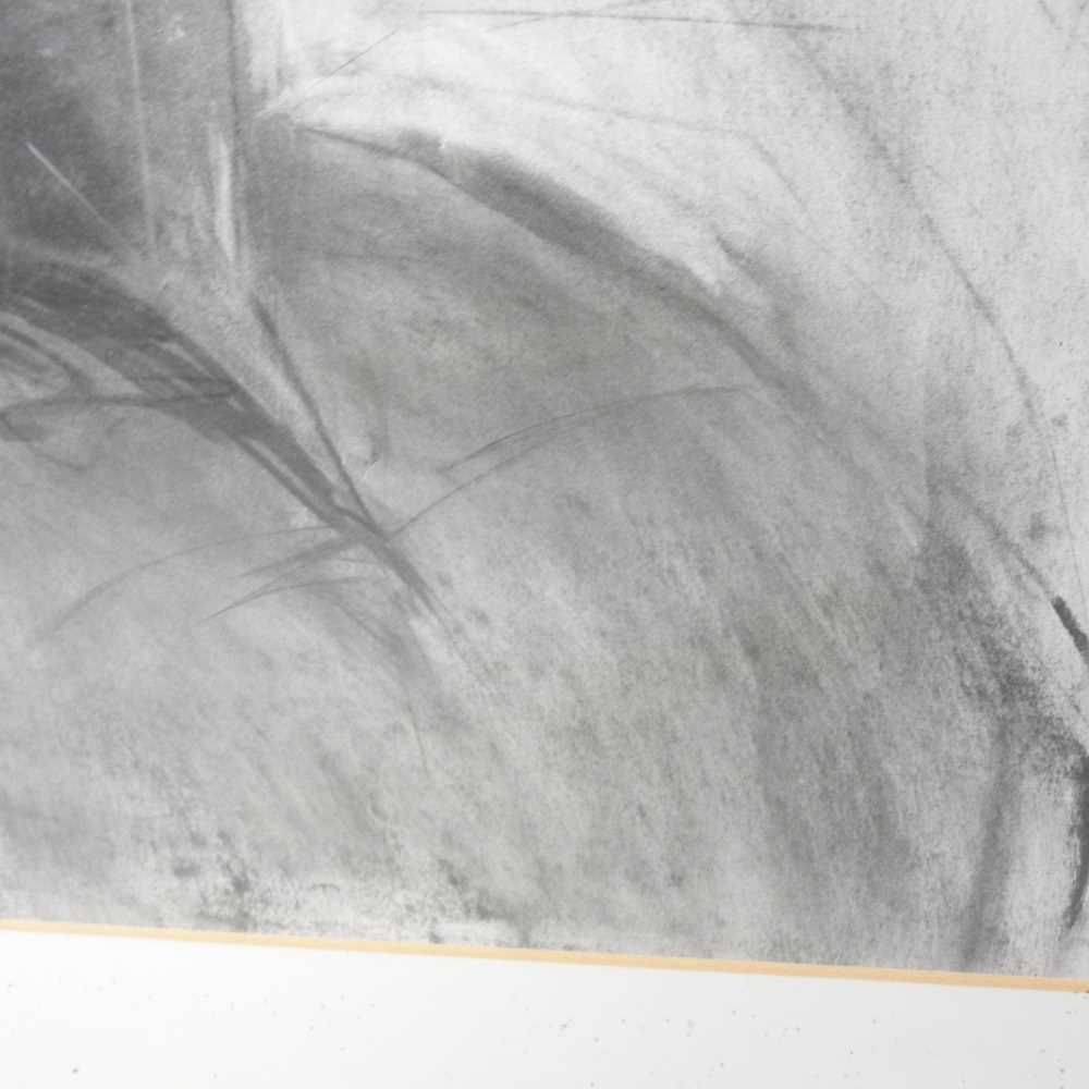 Virginia Matheson, contemporary, Antonio, charcoal on paper, 69 x 56cm, signed to the reverse, 69 - Image 4 of 8