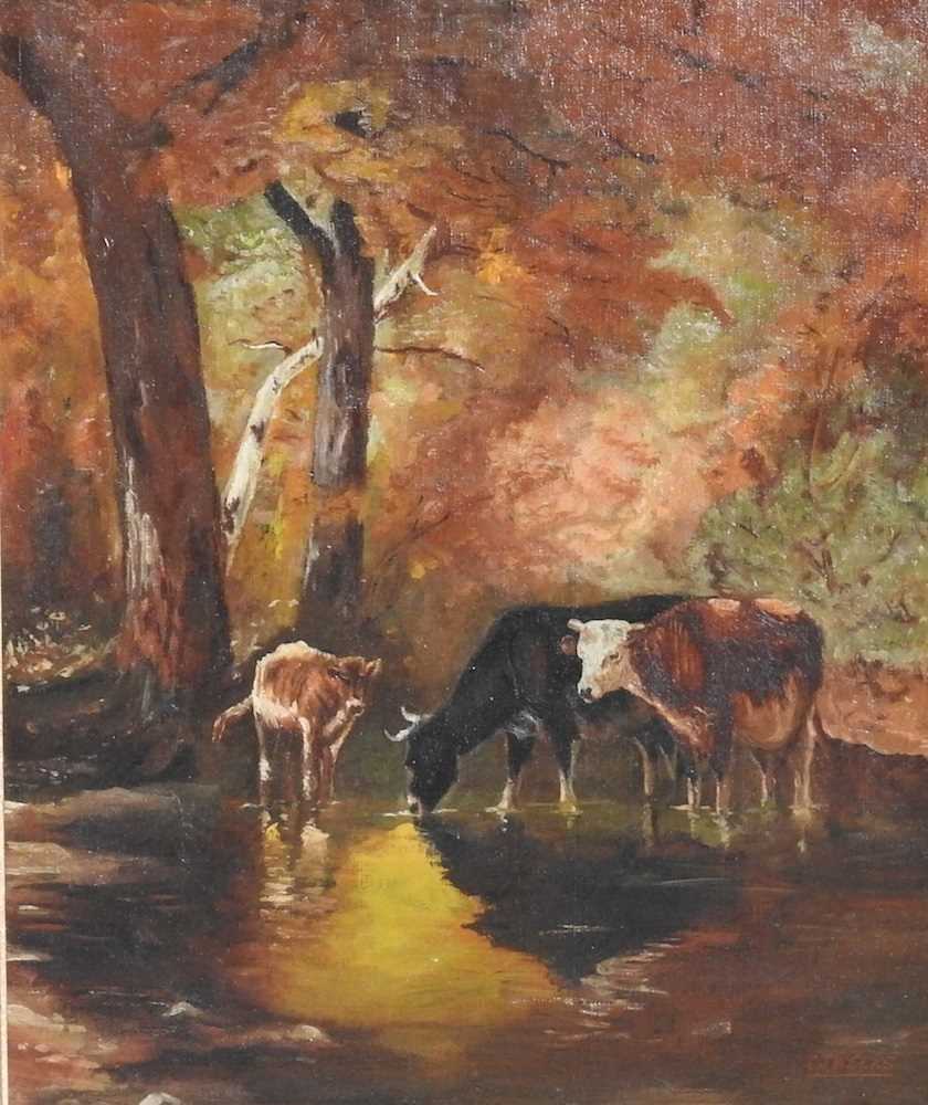 Weeks, 19th century, cattle watering, signed oil on canvas, 50 x 60cm - Image 3 of 9