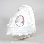 A conch shell, carved to the centre with a cameo portrait, head of a Classical lady in profile, 16cm