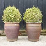 A pair of garden pots, each planted with a buxus ball, 87cm high overall (2)