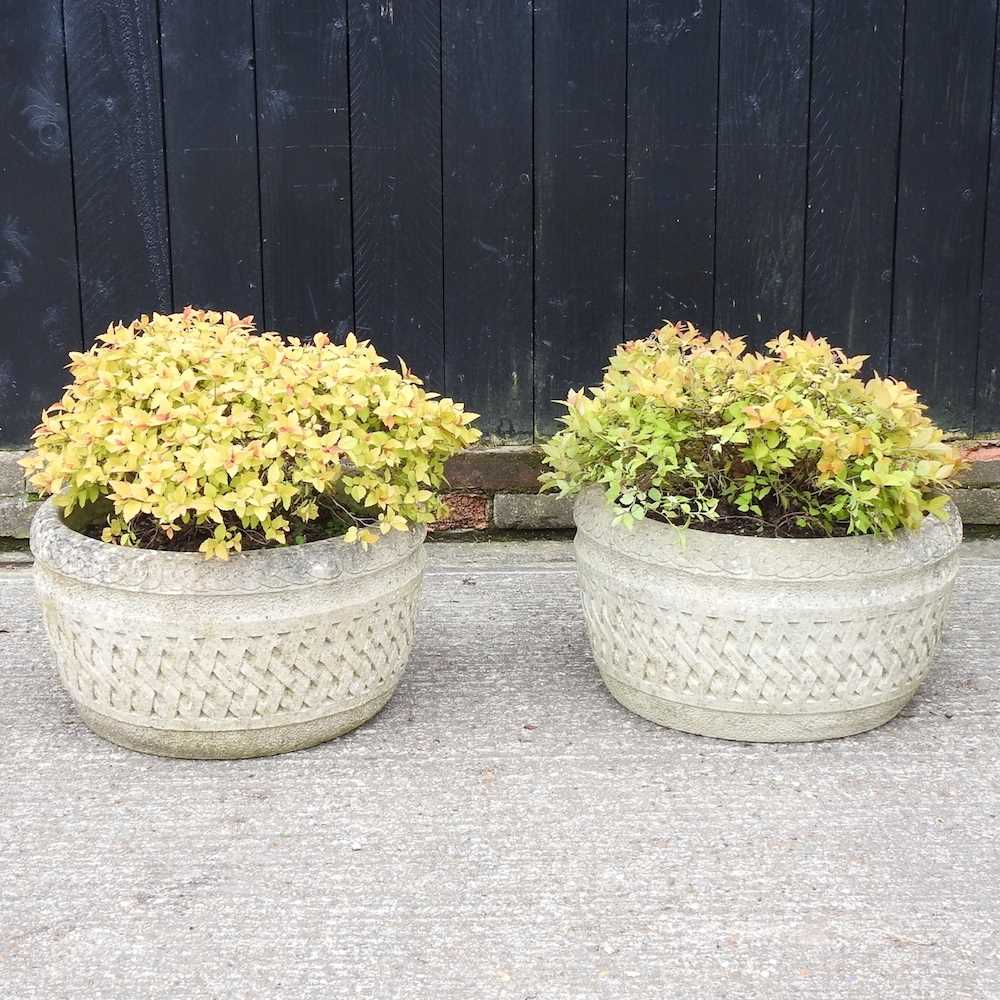 A pair of cast stone garden pots, 50cm diameter, each planted with Japanese Meadowsweet (2)