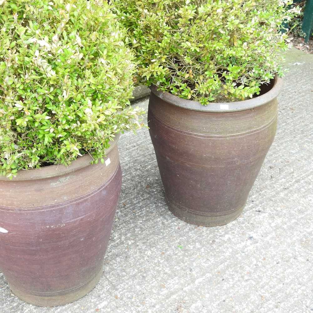 A pair of garden pots, each planted with a buxus ball, 87cm high overall (2) - Image 2 of 2