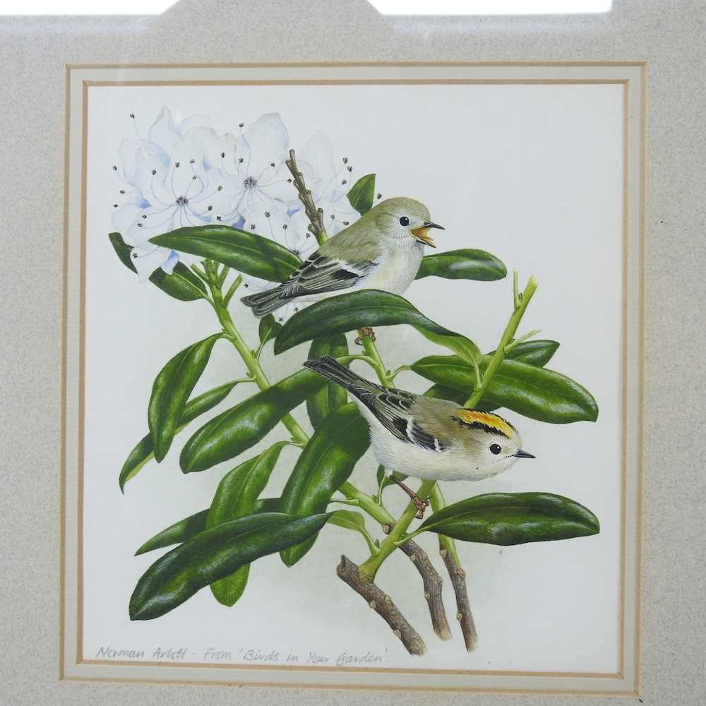 Norman Arlott, b1947, Birds in your Garden, signed watercolour, 17 x 16cm, together with Eileen - Image 6 of 8
