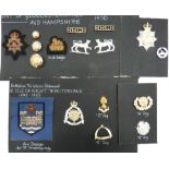 14 x Gloucestershire And Hampshire Badges cap include bullion embroidery, QC Gloucestershire &