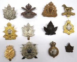 12 x Canadian Cap Badges including bronzed, KC Canadian MGC ... Brass 19th Alberta Dragoons ...