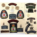 30 x University & School OTC & STC Badges And Titles cap include brass University College Wales