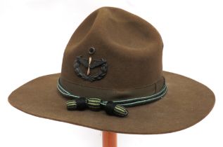 American Aviation Corps Overseas Felt Hat khaki green felt, lemon squeezer shape crown.  Lower, wide