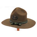 American Aviation Corps Overseas Felt Hat khaki green felt, lemon squeezer shape crown.  Lower, wide